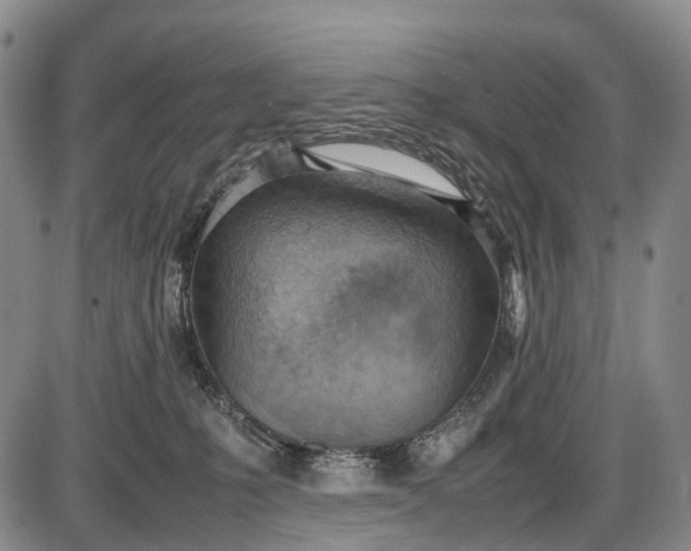 X0000085750231200703301410