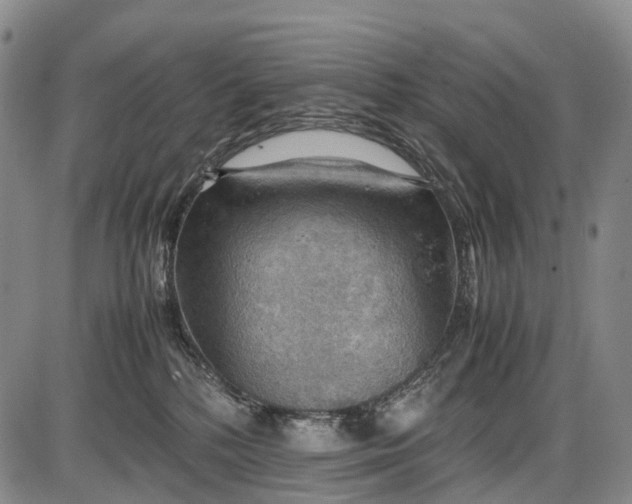 X0000085750232200703301410