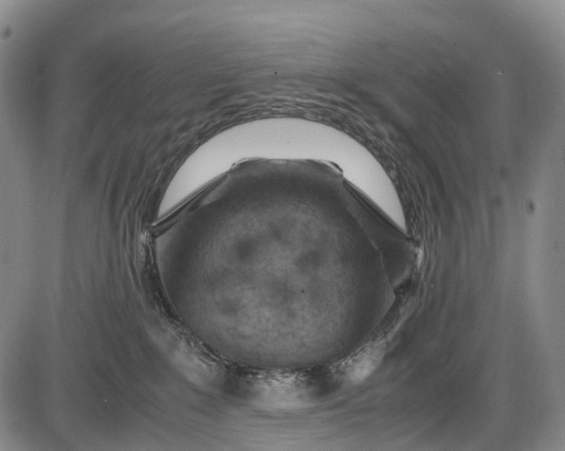 X0000085750235200703301410