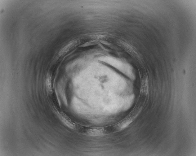 X0000085750238200703301410