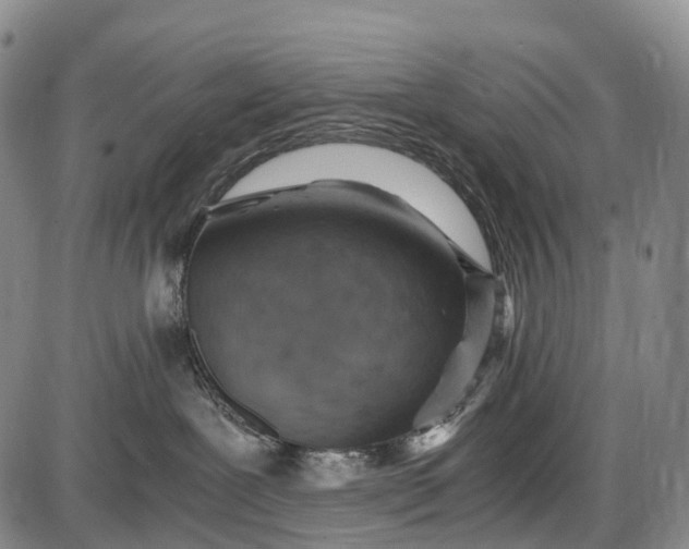 X0000085750239200703301410