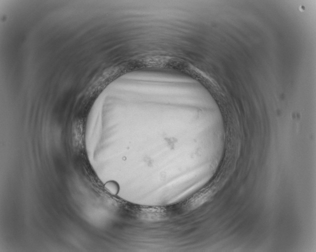 X0000085750240200703301410