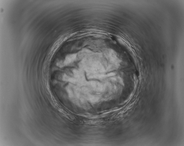 X0000085750241200703301409