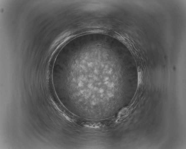 X0000085750243200703301409