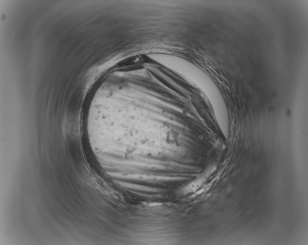 X0000085750244200703301409