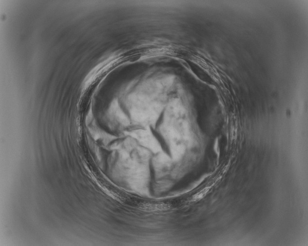 X0000085750245200703301409