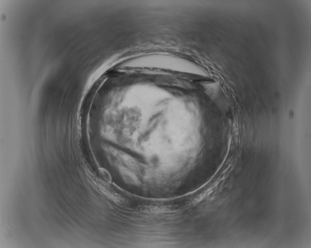 X0000085750246200703301409