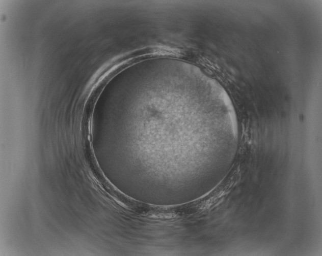 X0000085750247200703301409