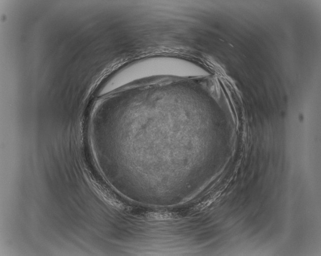 X0000085750250200703301410