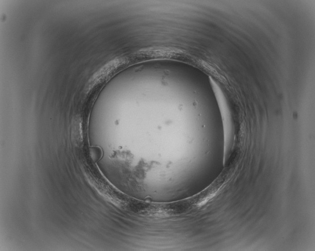 X0000085750254200703301410