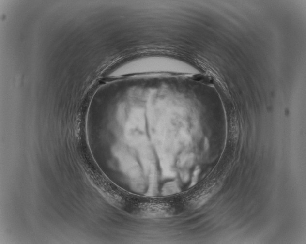 X0000085750255200703301410