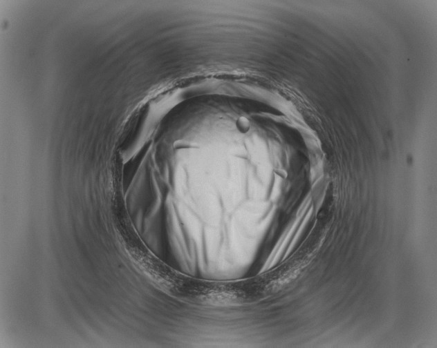 X0000085750256200703301410