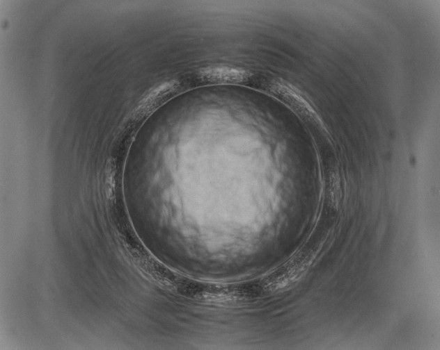 X0000085750259200703301410