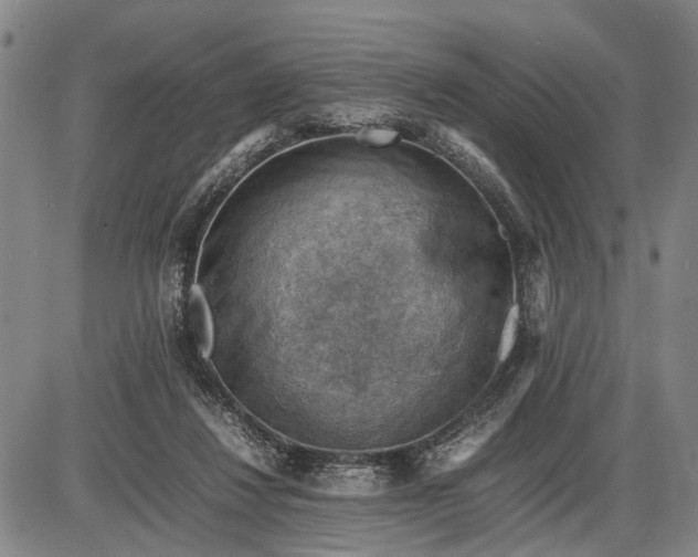 X0000085750260200703301410