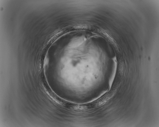 X0000085750261200703301410