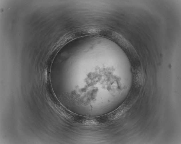 X0000085750262200703301410