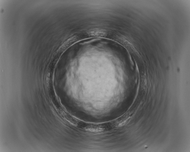 X0000085750263200703301410