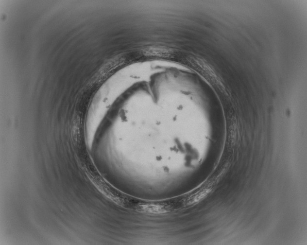 X0000085750265200703301410