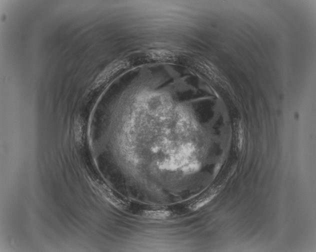 X0000085750266200703301410