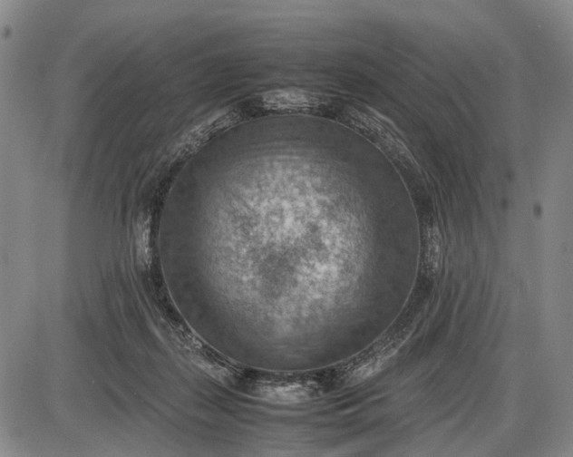 X0000085750267200703301410