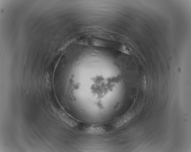 X0000085750270200703301410