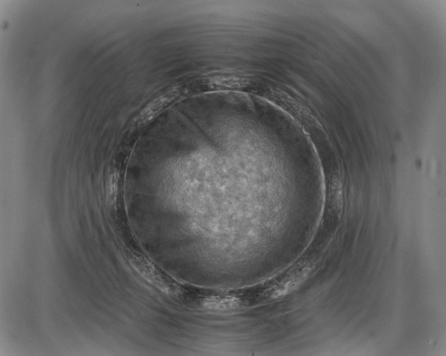 X0000085750271200703301410