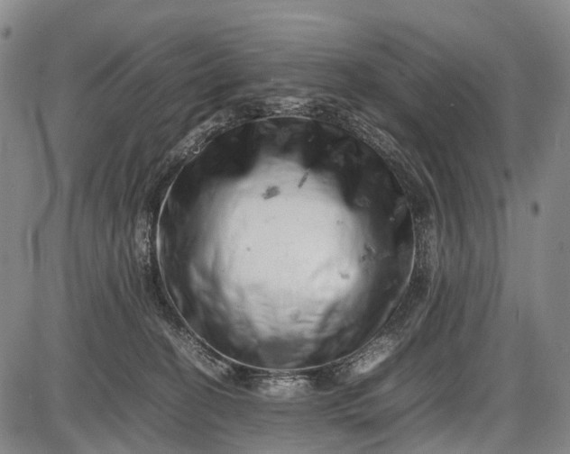 X0000085750274200703301410