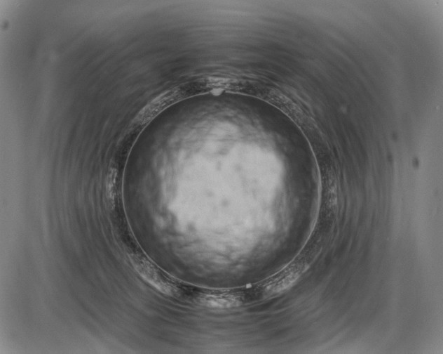 X0000085750275200703301410