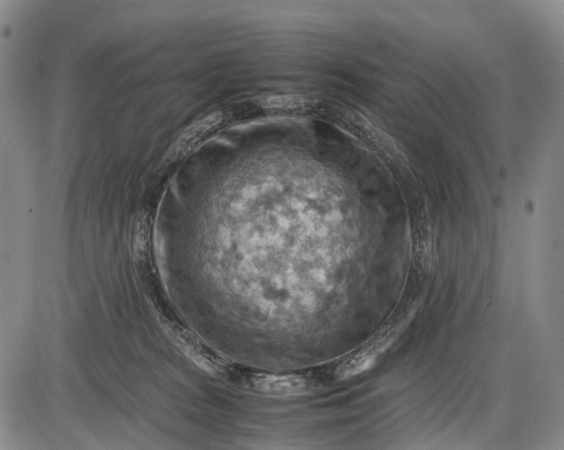 X0000085750277200703301410