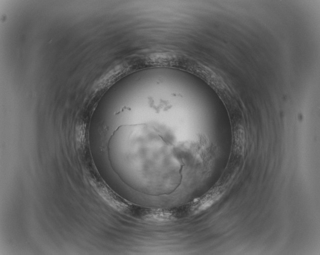 X0000085750278200703301410