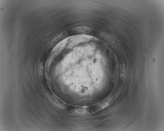 X0000085750279200703301410