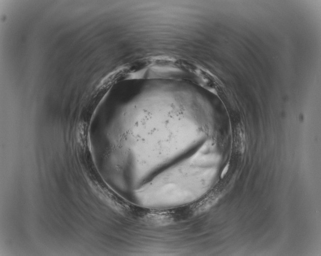 X0000085750280200703301410