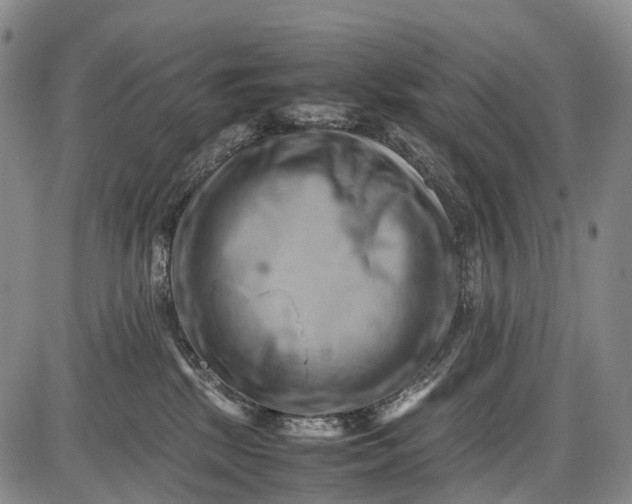 X0000085750281200703301410