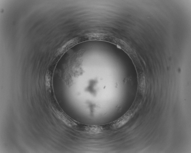 X0000085750282200703301410