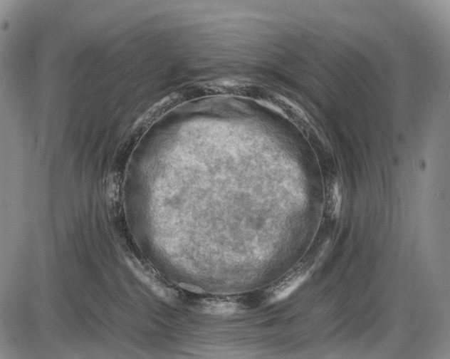 X0000085750284200703301410