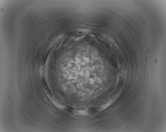 X0000085750285200703301410