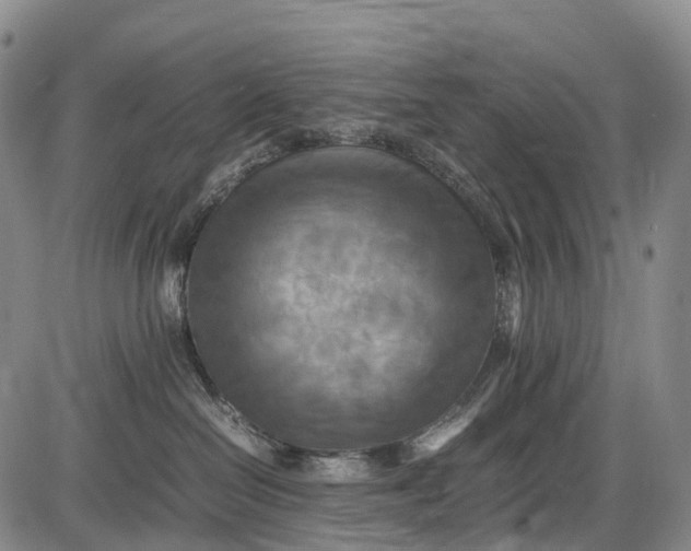 X0000085750286200703301410