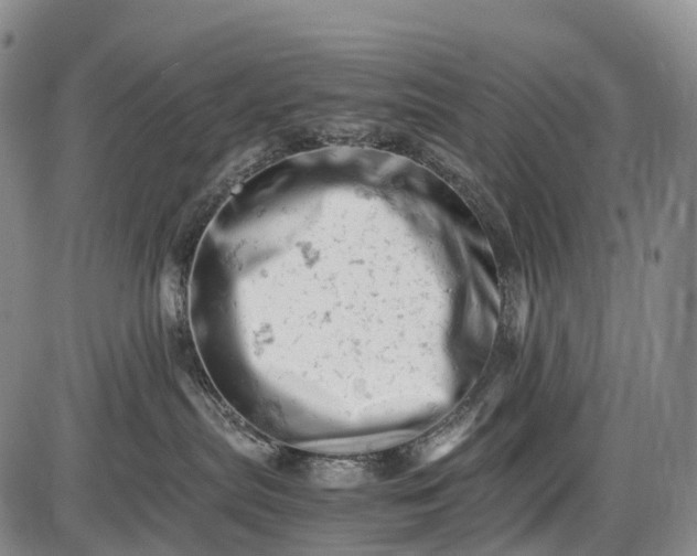 X0000085750287200703301410