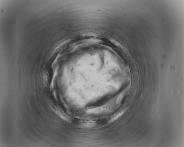 X0000085750288200703301410