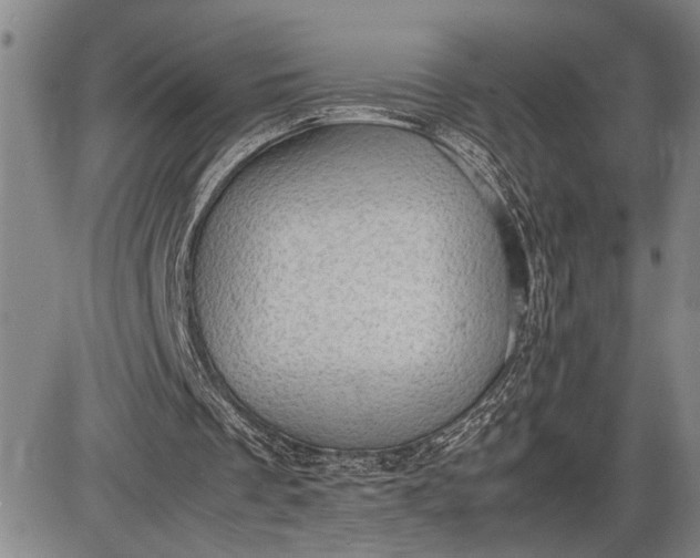 X0000085750289200703301409