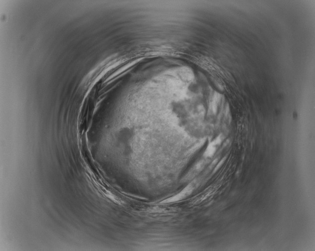 X0000085750290200703301409