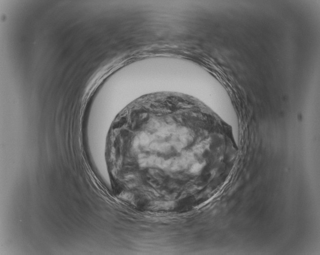 X0000085750293200703301409