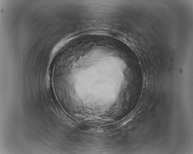 X0000085750294200703301409