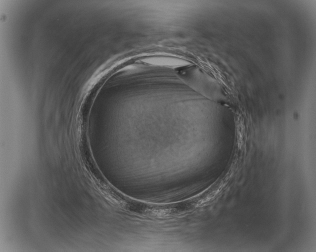 X0000085750295200703301409