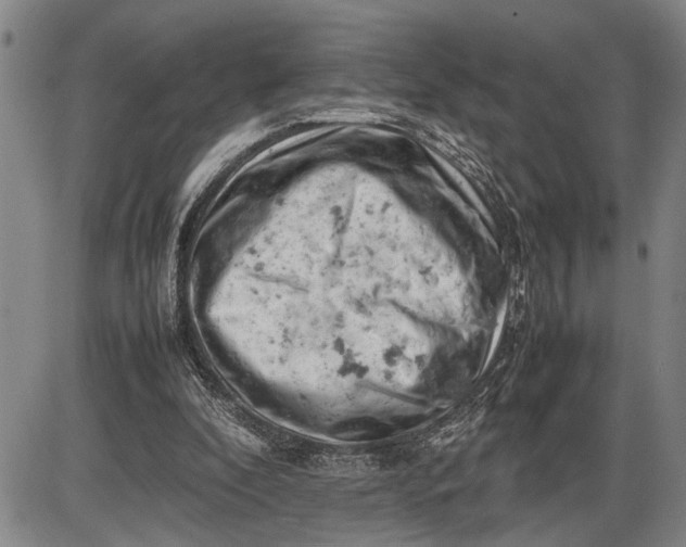 X0000085750296200703301409