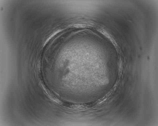 X0000085750297200703301409