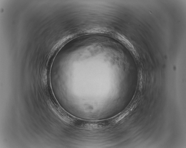 X0000085750298200703301409