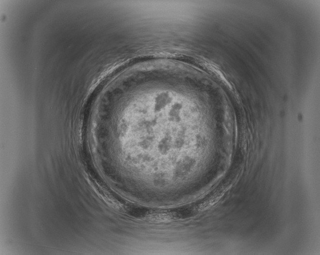 X0000085750299200703301409