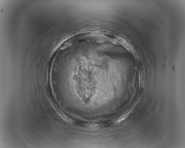 X0000085750301200703301409