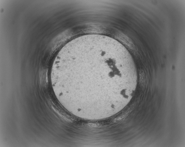 X0000085750302200703301409